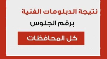 "مليون مبروك للناجحين" استعلام نتيجة الدبلومات الفنية 2024 برقم الجلوس