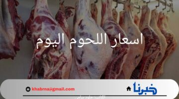 "شمبري وضاني ".. اسعار اللحوم اليوم في محلات الجزارة ومنافذ بيع وزارة الزراعة اليوم 28 يوليو 2024