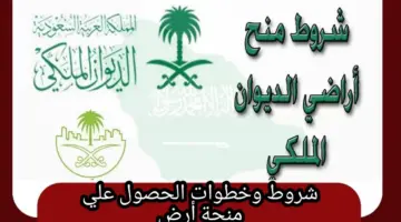 مستني إيه قدم الآن.. منحة الأرض المجانية الديوان الملكي ١٤٤٦ تعرف على الشروط