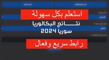 برقم الاكتتاب.. الاستعلام عن نتائج البكالوريا سوريا 2024 حسب الاسم "www moed gov sy" جميع المحافظات