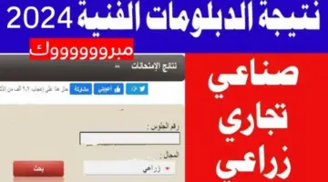 ظهرت رسميًا الآن.. خطوات الاستعلام عن نتيجة الدبلومات الفنية 2024