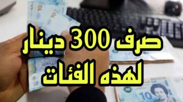 "استفيد بالمنحة شهرياً".. رابط التسجيل في منحة 300 دينار تونس 2024 عبر social.gov.tn