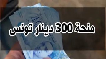 "سارع بالتسجيل".. منحة 300 دينار لعام 2024 تونس هي آخر مستجدات وزارة الشؤون الاجتماعية