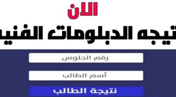 الان الحصول علي نتيجة الدبلومات الفنية جميع الشعب عبر رابط نتائج التعليم الرسمي فور تفيله