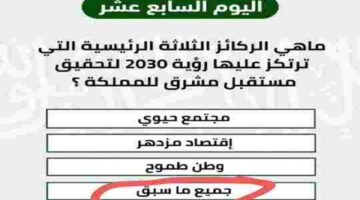 حل سؤال.. ما هي الركائز الثلاثة الرئيسية التي ترتكز عليها رؤية 2030 لتحقيق مستقبل مشرق للمملكة؟