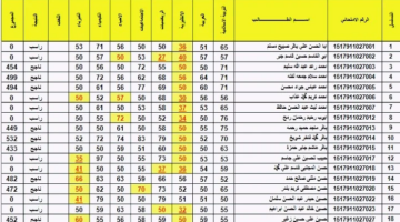 الاستعلام عن نتائج السادس الاعدادي 2024 الدور الاول عموم العراق من خلال وزارة التربية