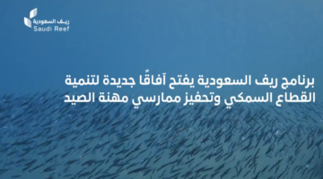 50000 ريال...شروط الحصول على دعم صغار صيادي الأسماك الممارسين ريف السعودية
