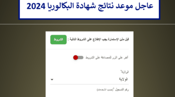 من هنا.. استعلم عن نتائج شهادة البكالوريا التونسية عبر موقع الوزارة