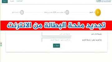 طريقة تجديد منحة البطالة كل 6 أشهر عبر الوكالة الوطنية للتشغيل wassitonline.anem.dz