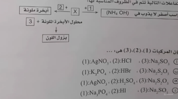 تسريب امتحان الكيمياء لطلاب الشعبة العلمية 2024.. التعليم توضح الحقيقة