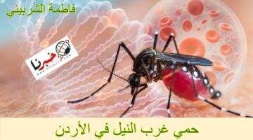 حقيقة انتشار حمي غرب النيل في الأردن.. المركز الوطني لمكافحة الأوبئة يكشف التفاصيل