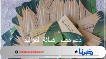 "وزارة التموين" تعلن عن دعم مصر إضافة المواليد على البطاقة التموينية 2024 لهذه الفئات
