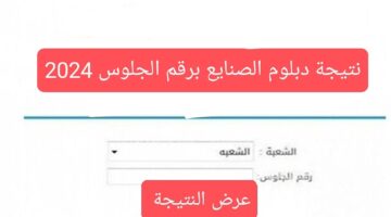 "الآن" نتيجة الدبلومات الفنية 2024 والرابط الرسمي لوزارة التربية والتعليم fany.emis.gov.eg