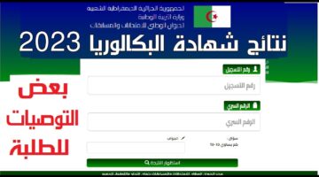 "جاري التحميل" هنا رابط الاستعلام عن نتائج البكالوريا في الجزائر 2024 ستظهر بعد قليل