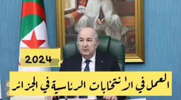 "سجل من هنا".. رابط التسجيل للعمل في الانتخابات الرئاسية بالجزائر 2024 والشروط المطلوبة