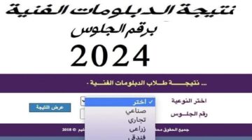 من هنــــا .. رابط الحصول على نتيجة الدبلومات الفنية 2024 برقم الجلوس "التجاري و الصناعي و الزراعي و الفندقي"