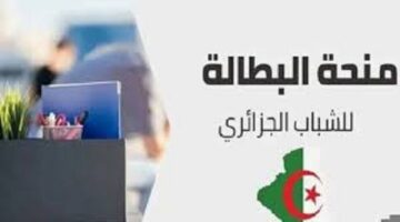 رابط تجديد منحة البطالة كل 6 أشهر 2024.. والشروط المطلوبة اليكم التفاصيل