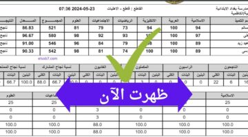 "وزارة التعليم العراقية تعلن".. نتائج الثالث متوسط الدور الأول 2024 PDF عموم محافظة واسط العراق موقع نتائجنا