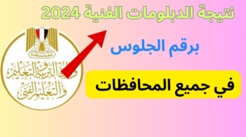 "متاح" رابط كشوفات نتيجة الدبلومات الفنية 2024 عبر بوابة التعليم الفني برقم الجلوس