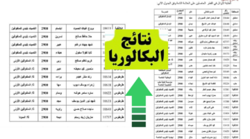 moed gov sy.. الآن نتائج البكالوريا 2024 سوريا الدورة الأولى حسب الاسم بالدرجات