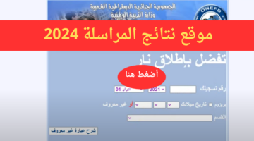 "هُنا onefd" رابط استخراج نتائج المراسلة 2024 كشف نقاط امتحان اثبات المستوى الجزائر وهران