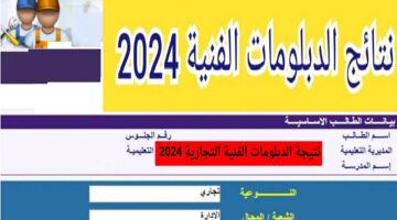 نتيجتك fany.emis.gov.eg رابط نتيجة الدبلومات الفنية 2024 "صناعي و زراعي و تجارى" موقع بوابة التعليم الفني برقم الجلوس