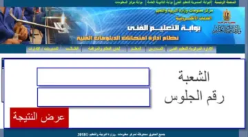 رابط نتيجة الدبلومات الفنية 2024 دور أول من موقع بوابة التعليم الفني fany.emis.gov.eg
