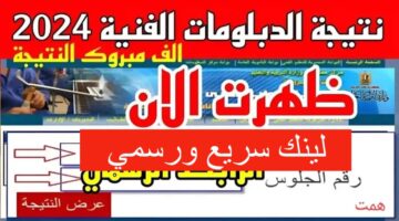 رابط سريع لتجنب الضغط.. رابط نتيجة الدبلومات الفنية 2024 برقم الجلوس بوابة التعليم الفني ومركز المعلومات