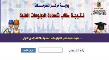 بوابة التعليم الفنى "fany.emis.gov.eg" رابط نتيجة الدبلومات الفنية 2024 "صناعي و تجاري و زراعي و فندقي" برقم الجلوس