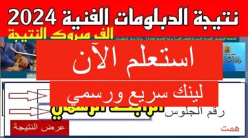 رابط شغال.. تعرف على نتيجة الدبلومات الفنية باستخدام رقم الجلوس 2024 لجميع التخصصات