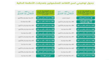 هل تم رفع سن التقاعد إلى 65 عامًا؟.. تعرف على خطة الدولة لمد سن التقاعد 1446