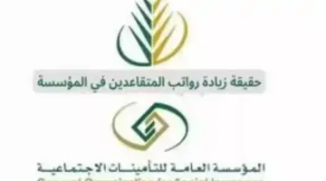 "بعد التعديلات الأخيرة".. زيادة رواتب التقاعد في نظام التأمينات الاجتماعية الجديد والمؤسسة العامة للتأمينات توضح
