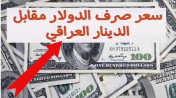 "هل ارتفع مجددًا؟".. سعر الدولار مقابل الدينار العراقي اليوم الخميس 11 يوليو 2024