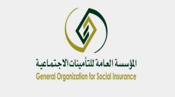 بعد مد سن التقاعد في التأمينات الاجتماعية.. اعرف آلية احتساب قيمة المعاش