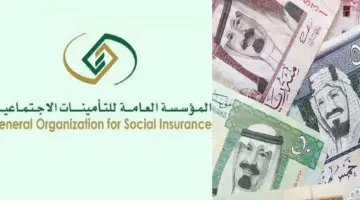 شروط الحصول على التقاعد المبكر 1446 وطريقة التقديم .. المؤسسه العامه للتامينات توضح