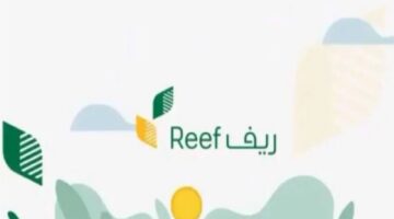 ما هي شروط الحصول على دعم ريف للأسر المنتجة في السعودية؟