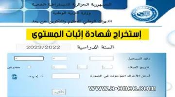 رابط رسمي ومباشر.. استخراج شهادة اثبات المستوى 2024 ONEFD attestation