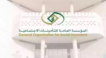 ما هى شروط صرف مستحقات التأمينات دفعة واحدة؟.. "مؤسسى التأمينات الاجتماعية" تحدد