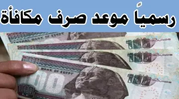 موعد صرف مكافأة الامتحانات للمعلمين 2024 في مصر