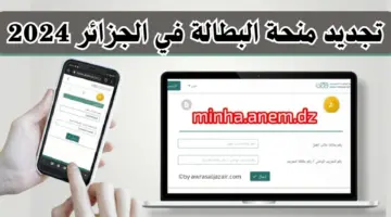 عبر رابط الوكالة الوطنية للتشغيل anem.dz .. كيفية تجديد منحة البطالة في الجزائر 2024 بالخطوات