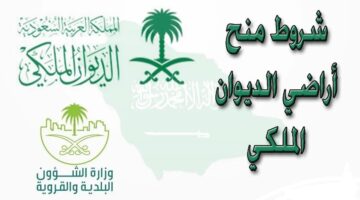 كيف تسجل لطلب منحة ارض مجانية من الديوان الملكي السعودي؟