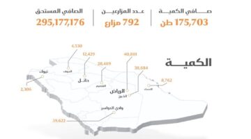 منصة محصولي.. توريد الدفعة الأولى من القمح والهيئة تعلن إيداع مستحقات المزارعين المحليين