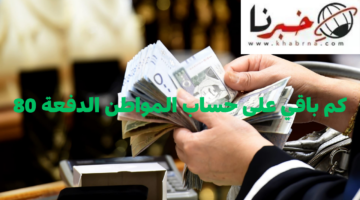 حساب المواطن: هذا موعد نزول الدفعة 80 لشهر يوليو 2024