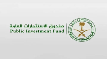 ما هي الشركة المملوكة لصندوق الاستثمارات العامة في قطاع الذكاء الإصطناعي؟