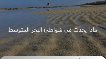 ماذا يحدث في شواطئ البحر المتوسط؟ المعهد القومي لعلوم البحار يوضح ظاهرة انحسار المياه