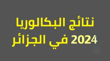 متى إعلان نتائج البكالوريا 2024 الجزائر؟ bac.onec.dz resultat شهادة باك الثانوية موقع الديوان الوطني