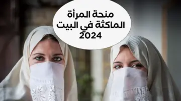 "استفيدي بالمنحة فوراً".. شروط منحة المرأة الماكثة بالمنزل 2024 الجزائر عبر الوكالة الوطنية للتشغيل anem.dz