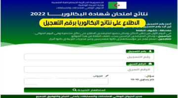 ظهرت الآن نتائج بكالوريا الجزائر عبر موقع الديوان الوطني للامتحانات