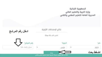 في هذا الموعد.. موعد النتائج الرسمية المهنية لبنان 2024 web.vte.gov.lb وطريقة الاستعلام