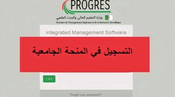 ما هو موعد ايداع طلب المنحة الجامعية 2024 في الجزائر؟.. "وزارة التعليم العالي" تحدد